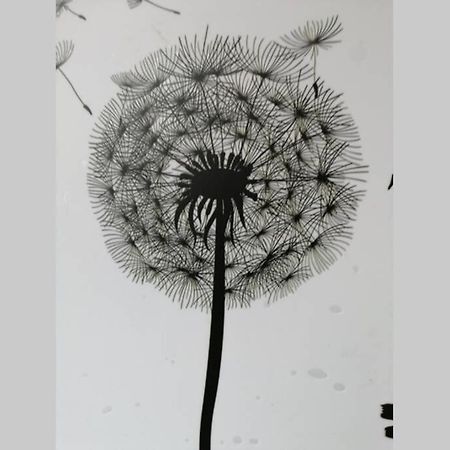 Ferienwohnung Pusteblume Mueddersheim Vettweiss Exterior foto
